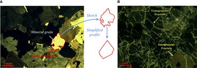 Numerical investigation of the influence of mineral mesostructure on quasi-static compressive behaviors of granite using a breakable grain-based model